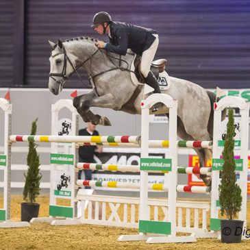 Paard Hardenberg verhuist naar Balkbrug