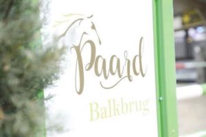 Inschrijving paard Balkbrug